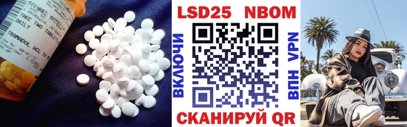 блэк спрут как зайти  Чегем  Лсд 25 экстази ecstasy  закладка 
