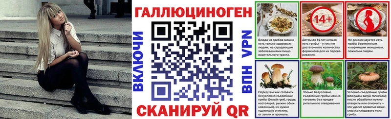 что такое наркотик  Чегем  Галлюциногенные грибы Psilocybe 