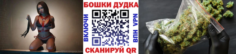 где продают наркотики  Чегем  Конопля SATIVA & INDICA 